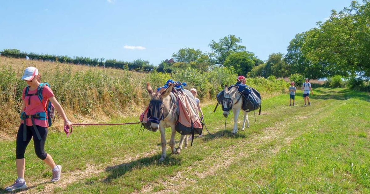 Randonnée avec un âne : séjours rando âne en Bourgogne